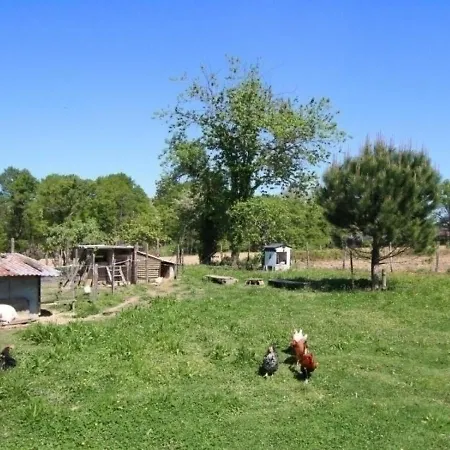 House Chez Duplaa 1 *